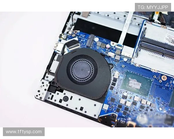 短跑训练中的关键技巧与注意事项全面解析助你提高速度与表现